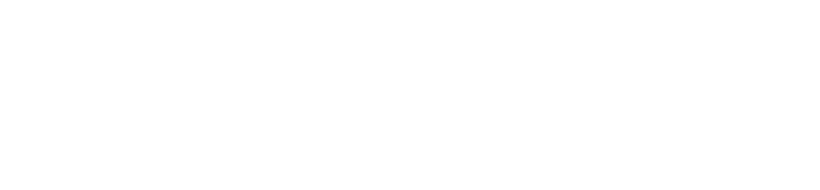 Carwise