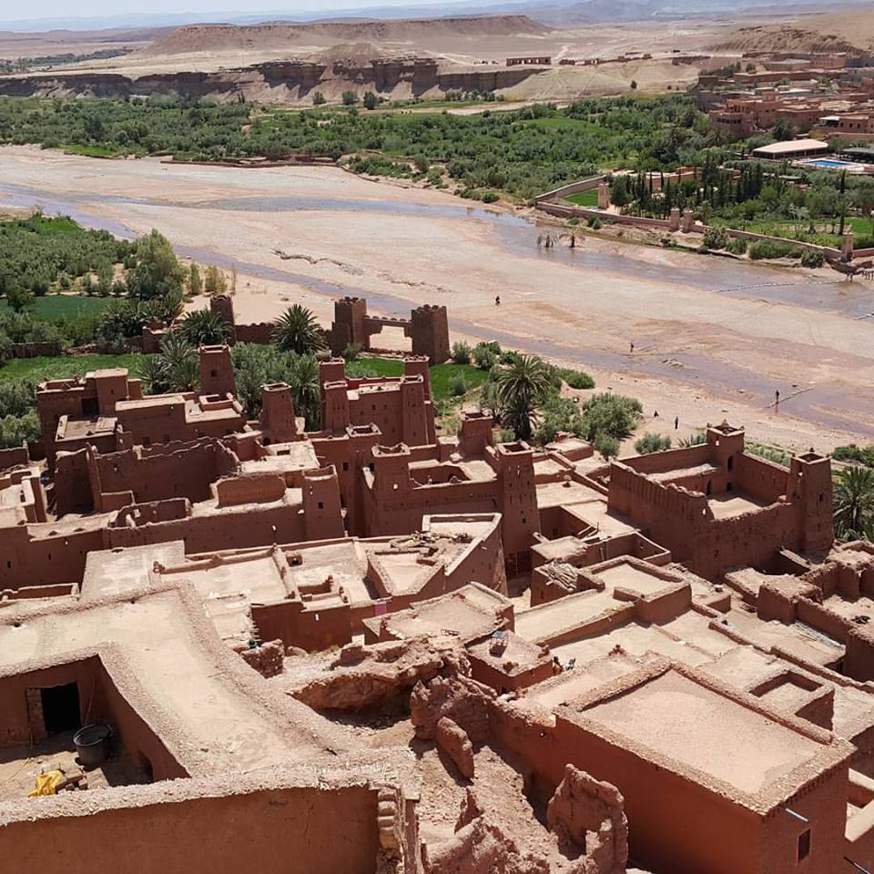 sahara desert excursions reviews