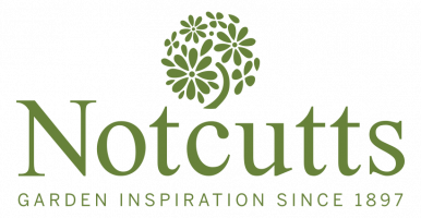 business logo of Notcutts.co.uk