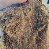 Close up of tangling.