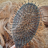 After one gentle brush through hair.