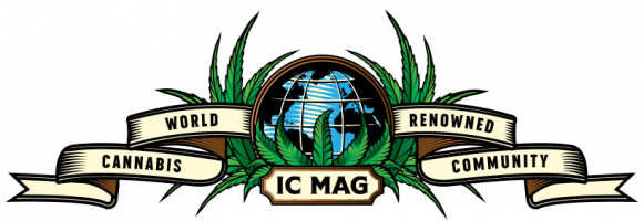 Icmag