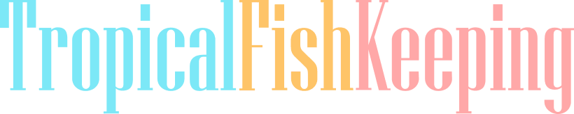 business logo of Tropical Fish