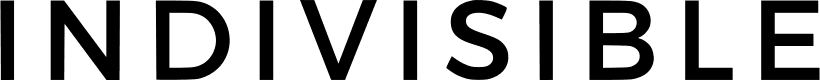 business logo of Indivisible
