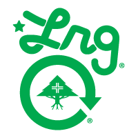 business logo of LRG Clothing
