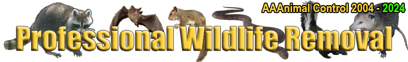 business logo of AAAnimal Control