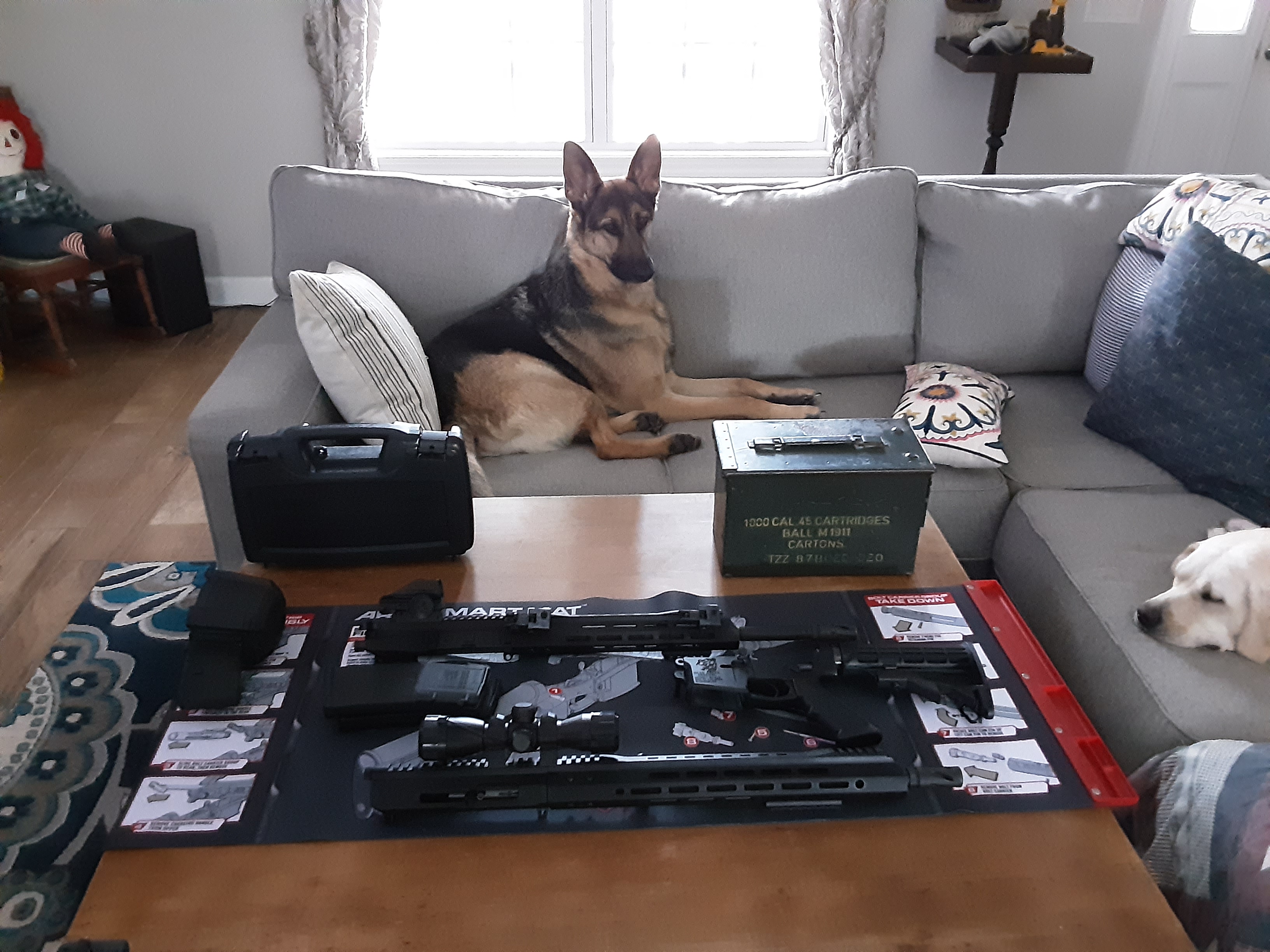 Bear Creek Arsenal Reviews 382 Reviews of