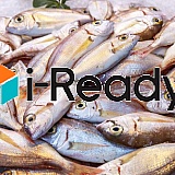 Iready is fish