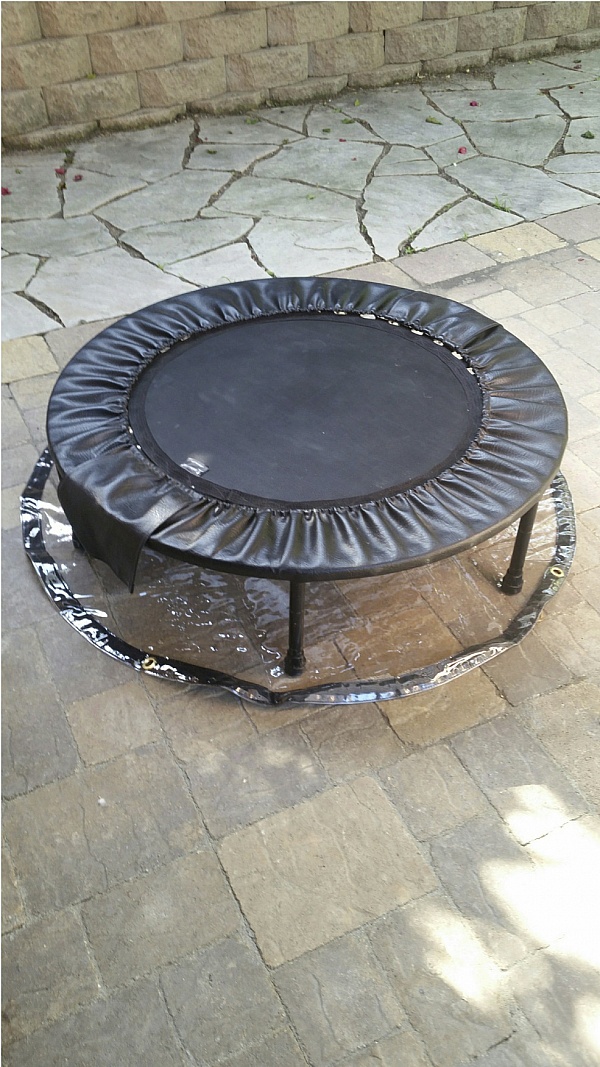 Covers & All Reviews 7,562 Reviews of Sitejabber