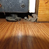 This is under the oven and cabinet. Yes, once again after the "deep clean!"