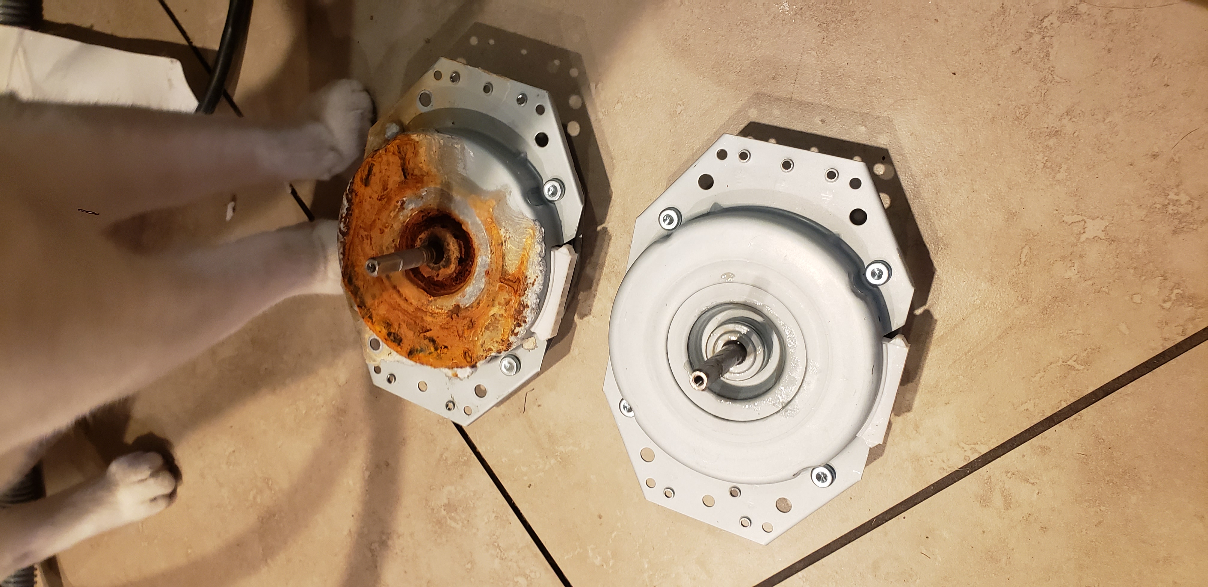 Genuine Replacement Parts Reviews 92,790 Reviews of