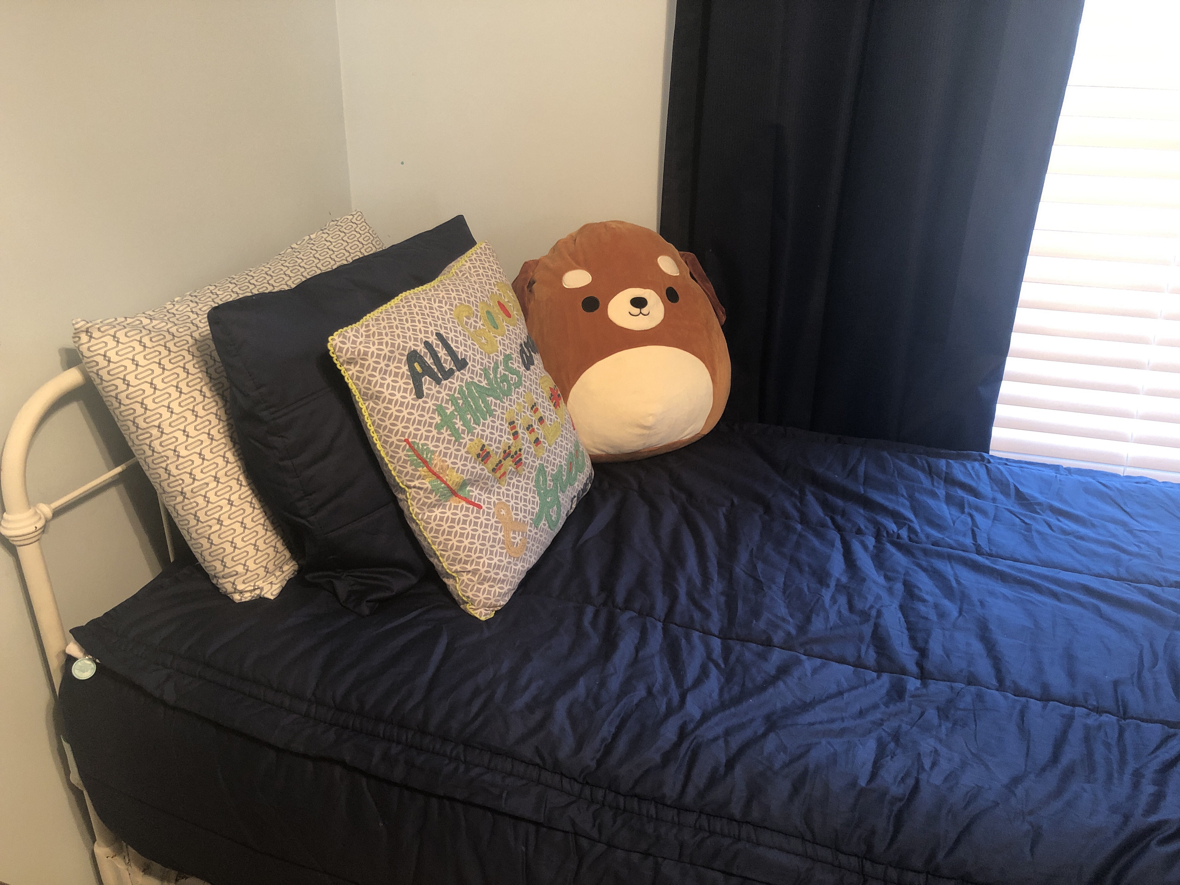 Beddy's Reviews 50 Reviews of Sitejabber