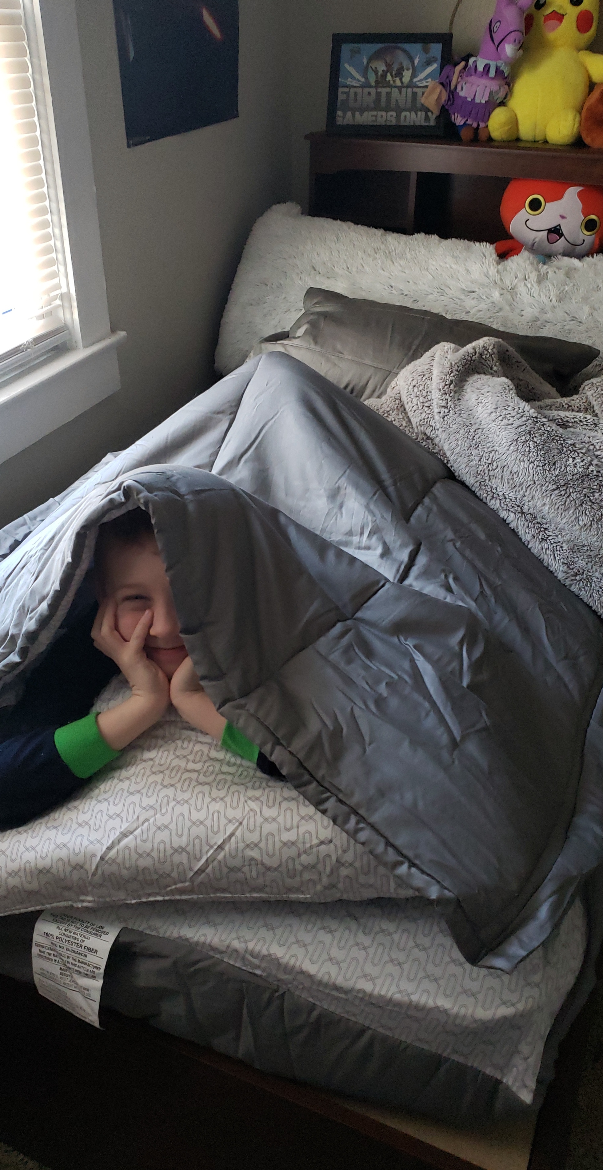 Beddy's Reviews 99 Reviews of Sitejabber