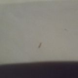 Bed, sleeping companions, water bugs coming from the broken leaking ac from the window behind the bed