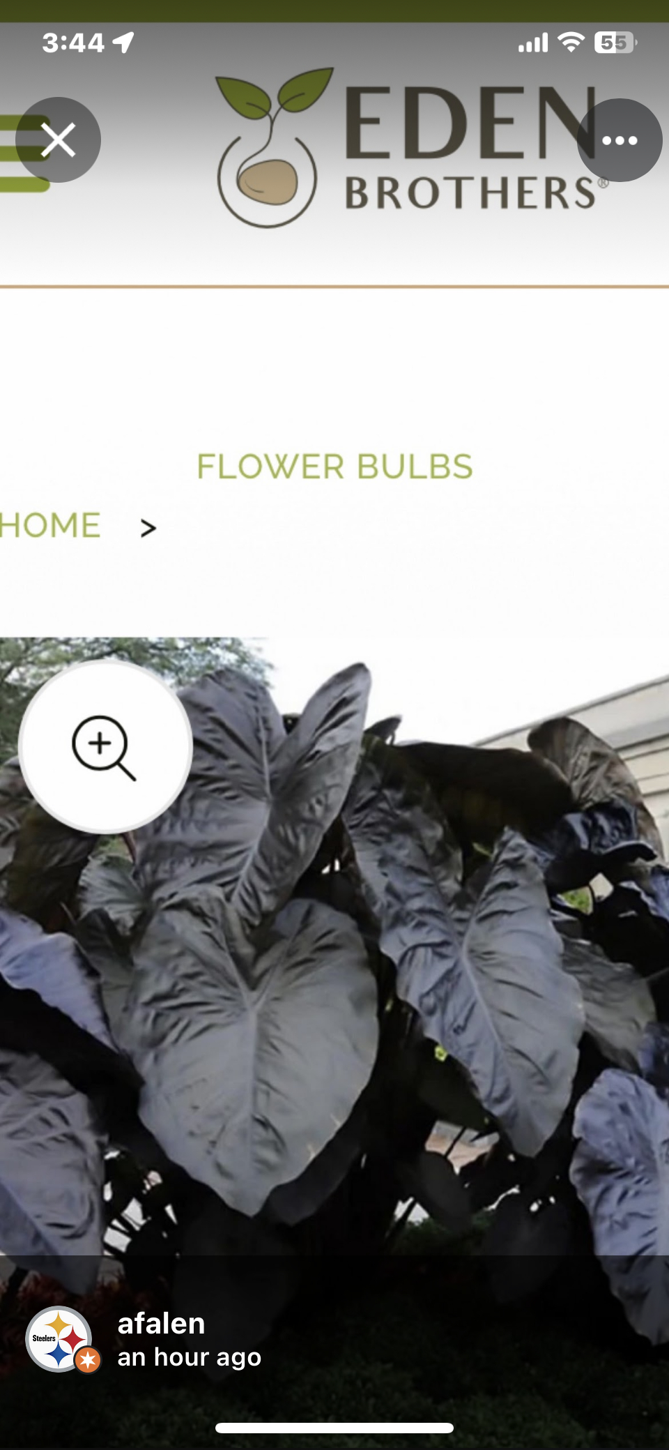 Edenbrothers Reviews 2 Reviews of Sitejabber