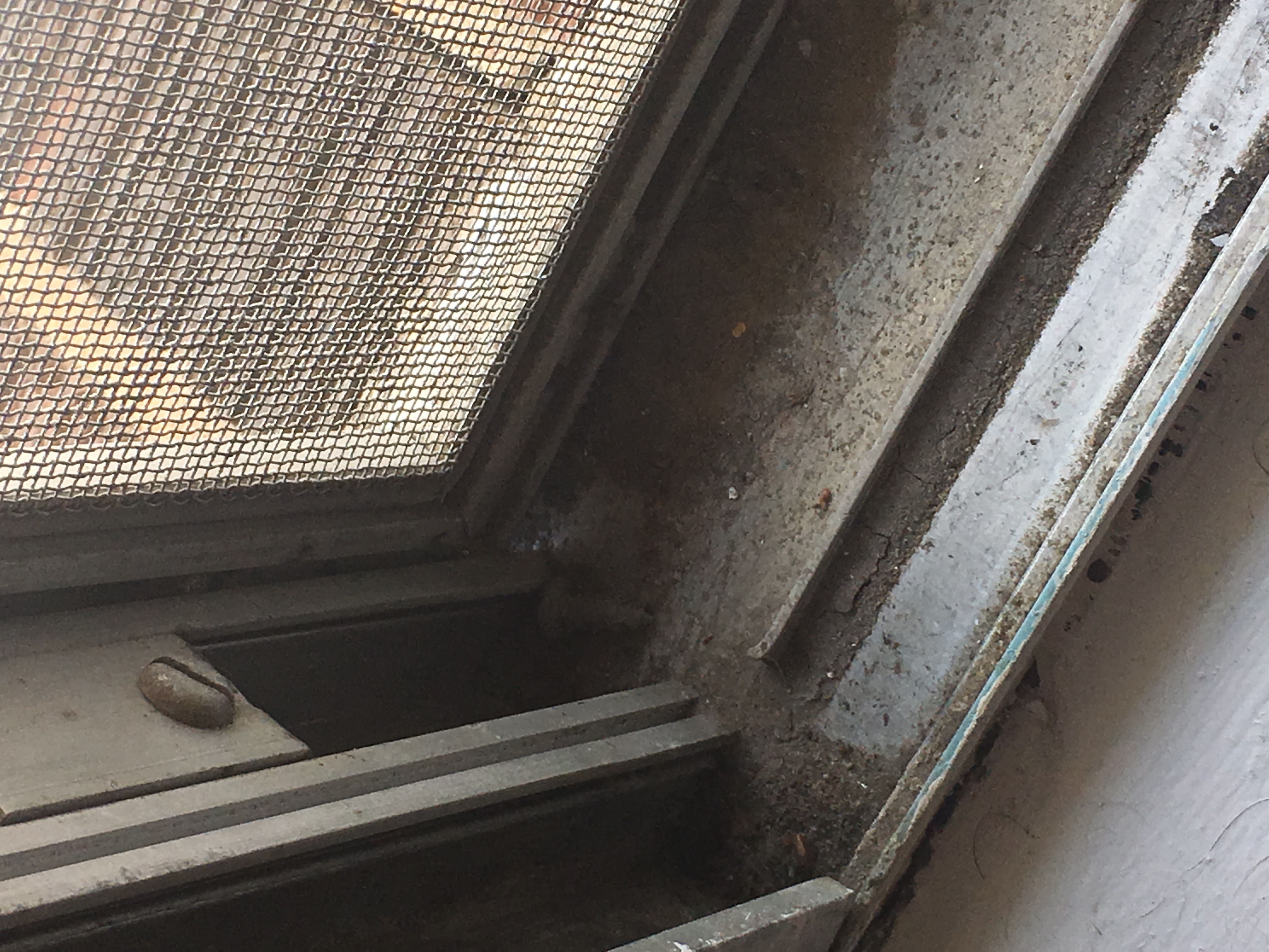 Weaver Rentals Reviews 3 Reviews of Sitejabber