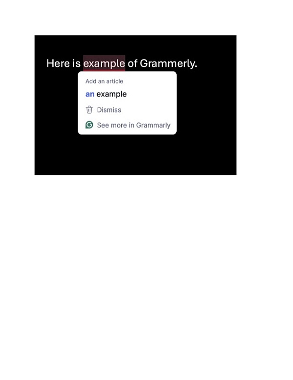 Grammarly product 0