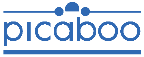 business logo of Picaboo