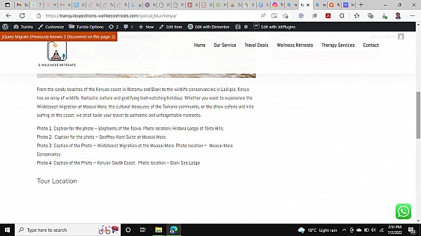 TemplateMonster product 0