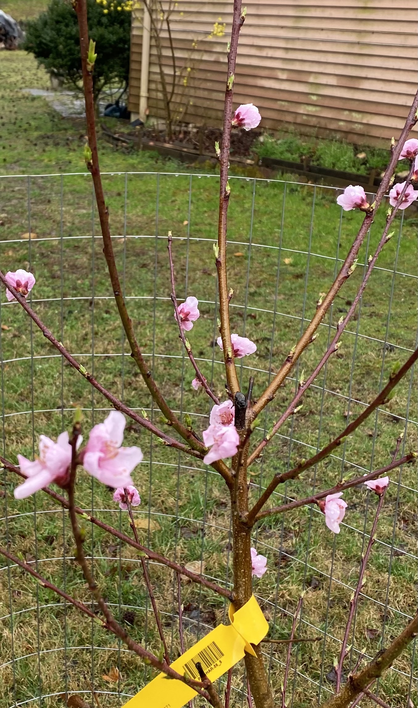 Reviews 58,335 Reviews of