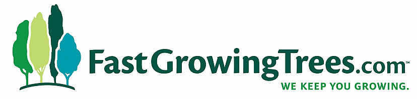 Fast-growing-trees