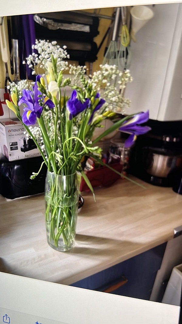 Bunches Reviews 70 Reviews of Bunches.co.uk Sitejabber