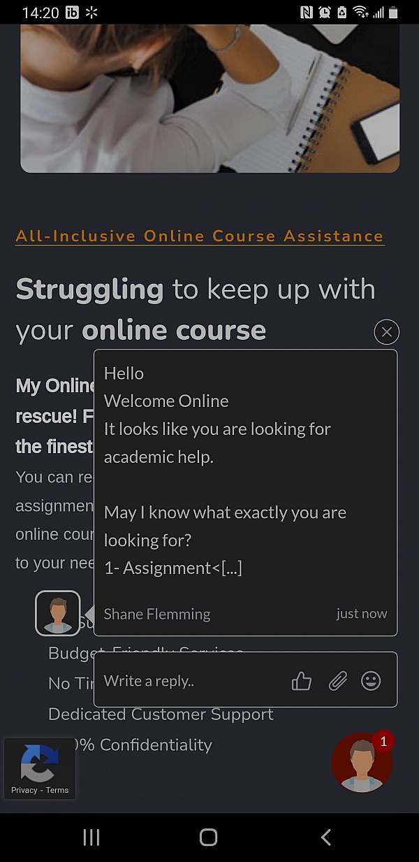 Take My Classes Online Reviews 32 Reviews of