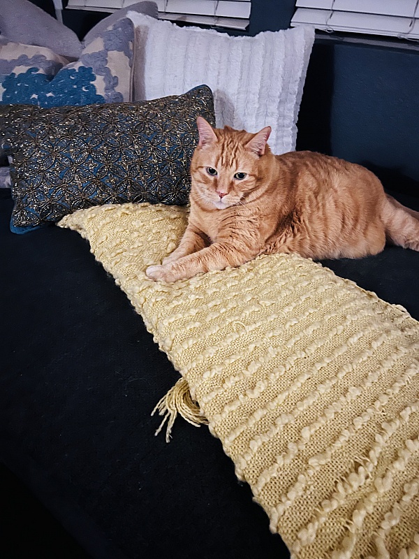 It's Just Lunch product 0