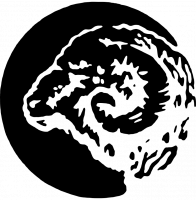 business logo of Duckworth
