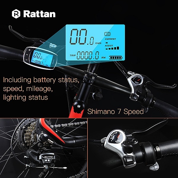 rattan ebike