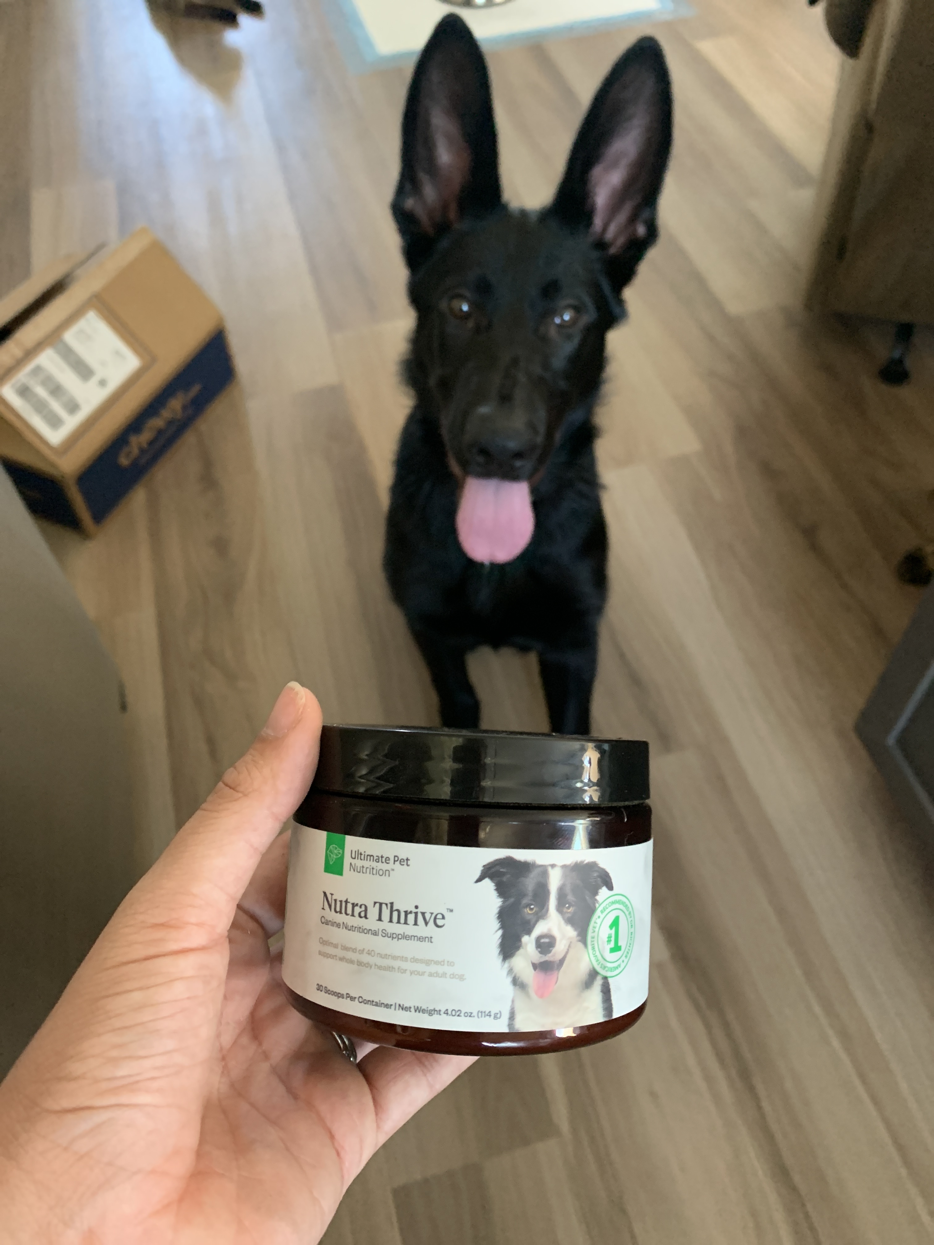 ultimate pet nutrition canine boost