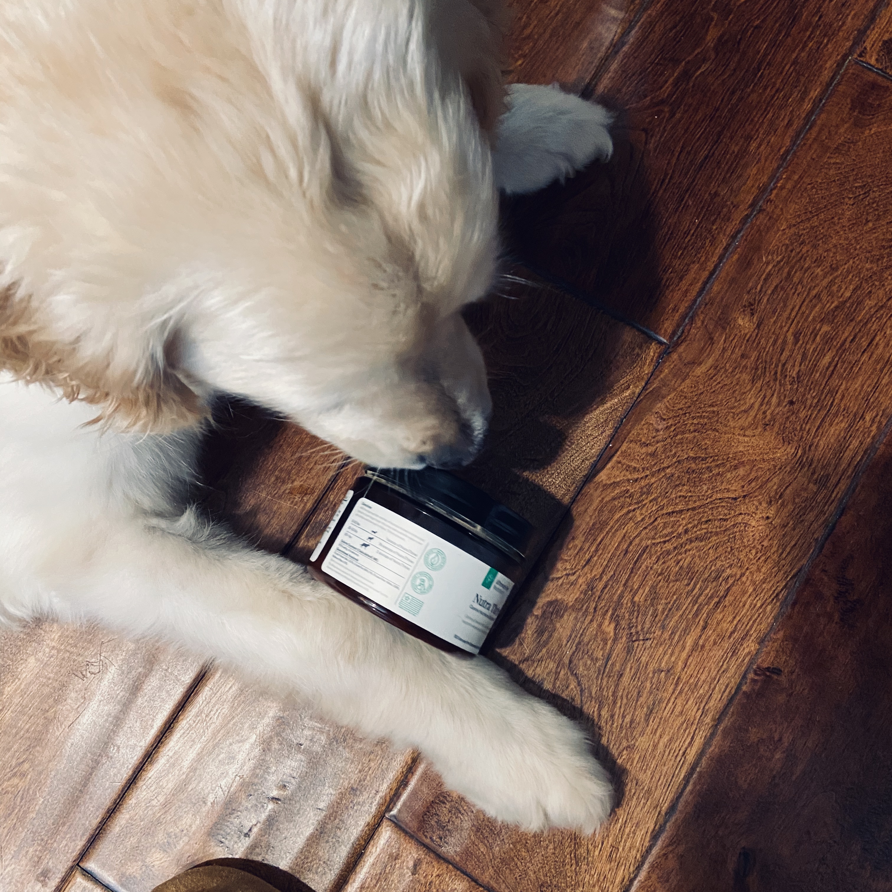 ultimate pet nutrition canine boost
