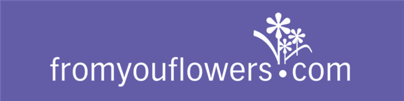 business logo of From You Flowers