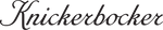business logo of Knickerbocker