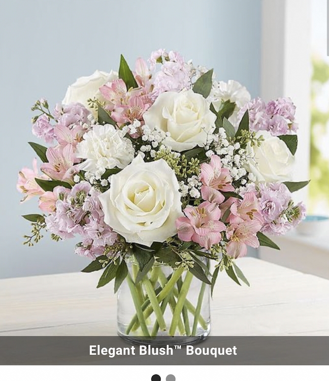 Reviews 1,209 Reviews of Sitejabber