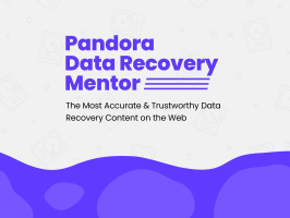 business logo of Pandora Data Recovery Mentor