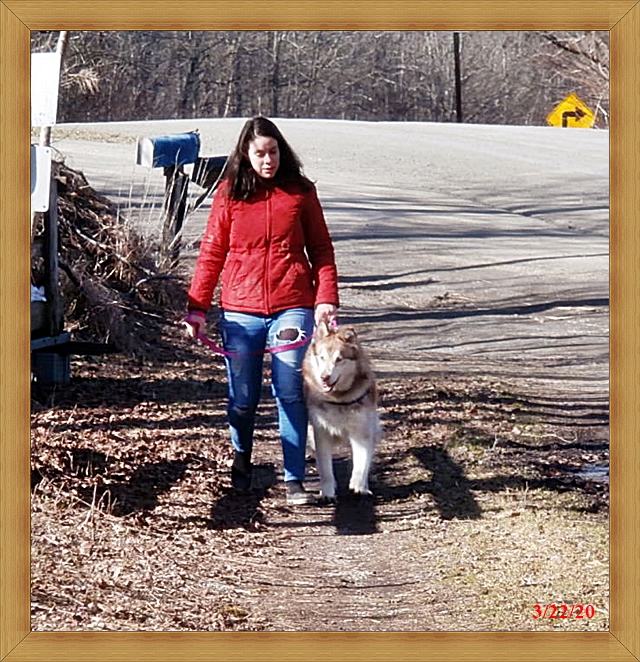 Good Dog Reviews 95 Reviews of Sitejabber