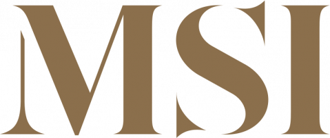 business logo of Msisurfaces