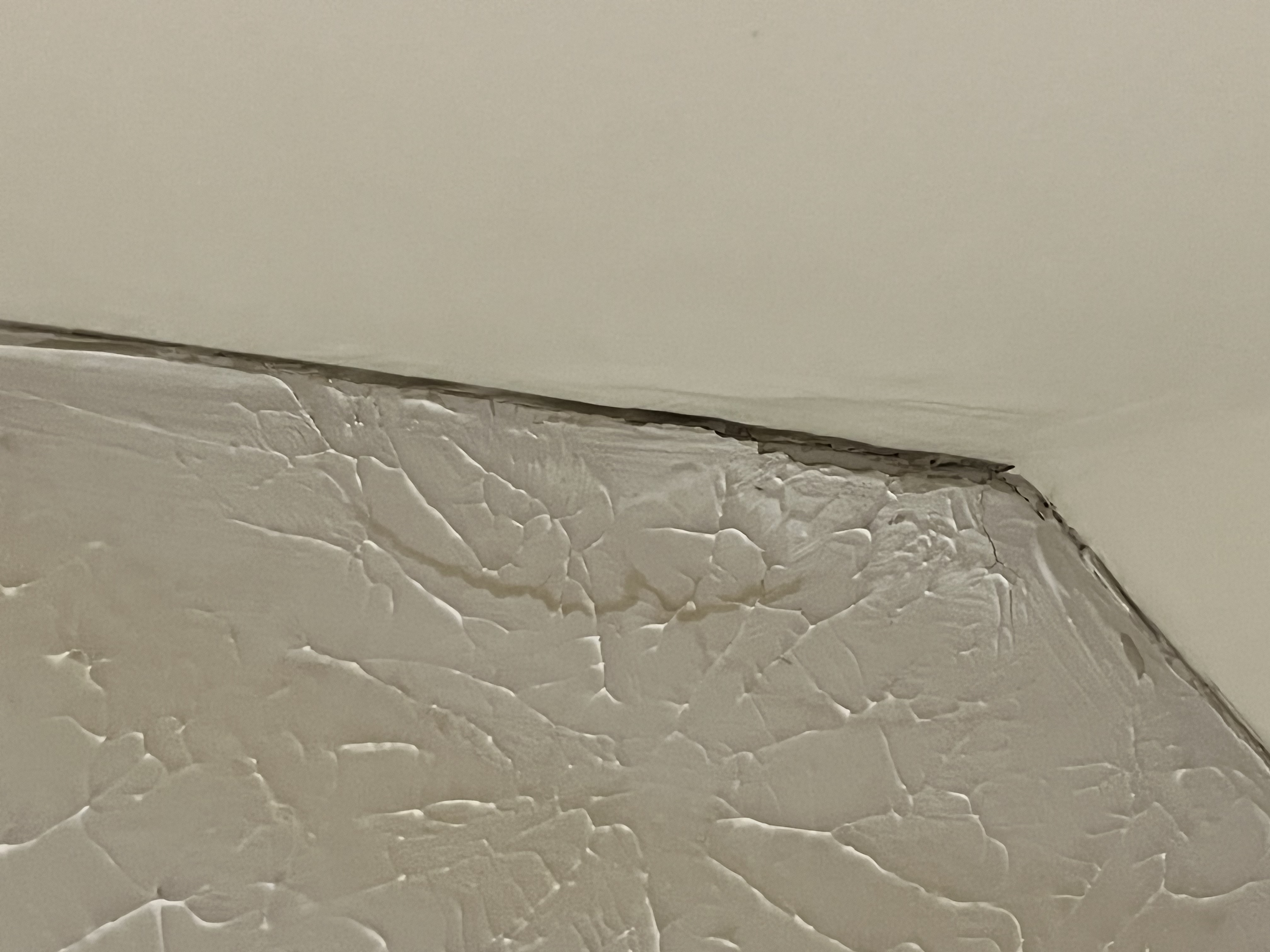 Main Street Renewal Tampa Reviews - 4mnm4a6