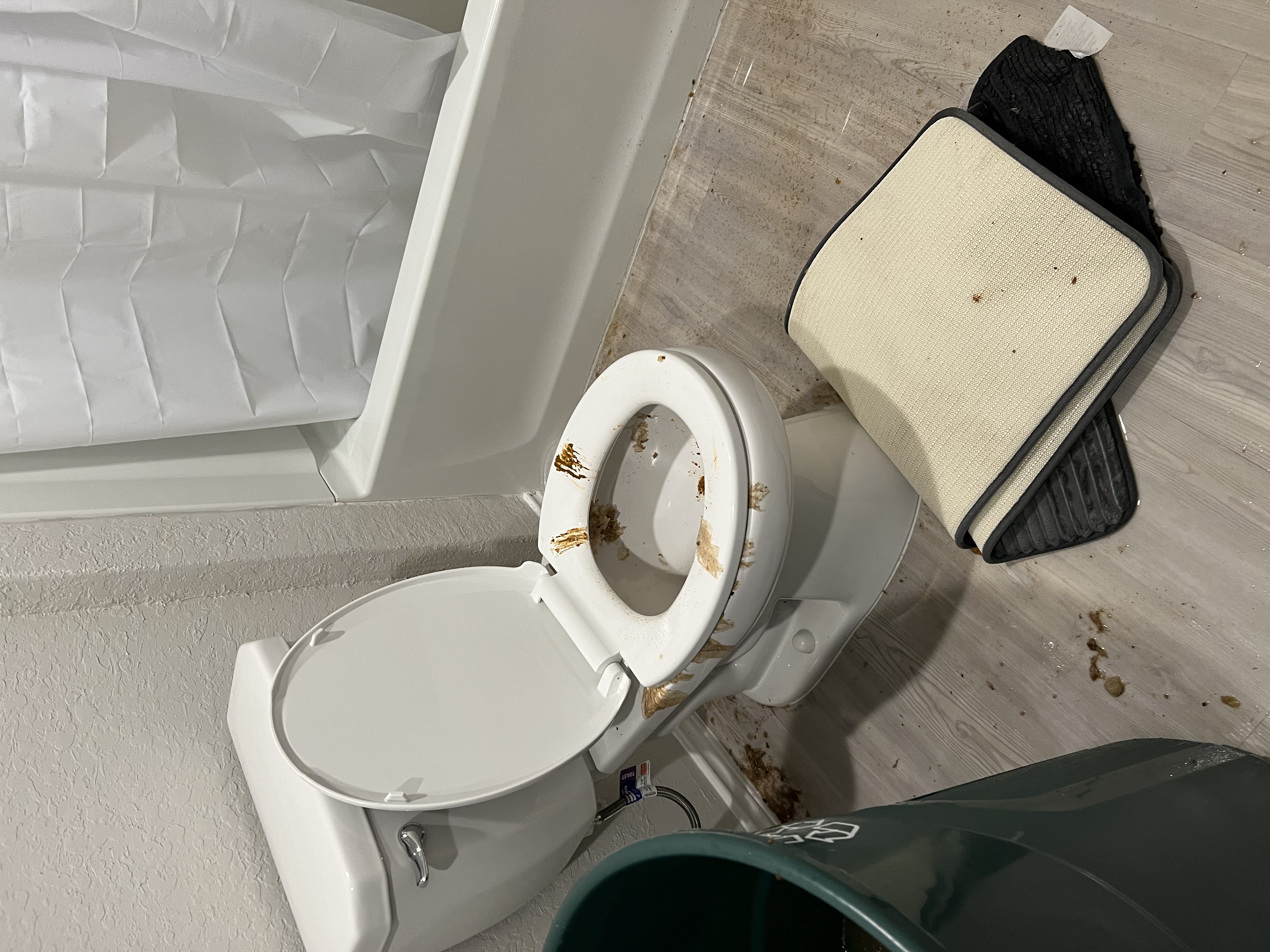 Lightning strike causes Florida home's toilet to explode