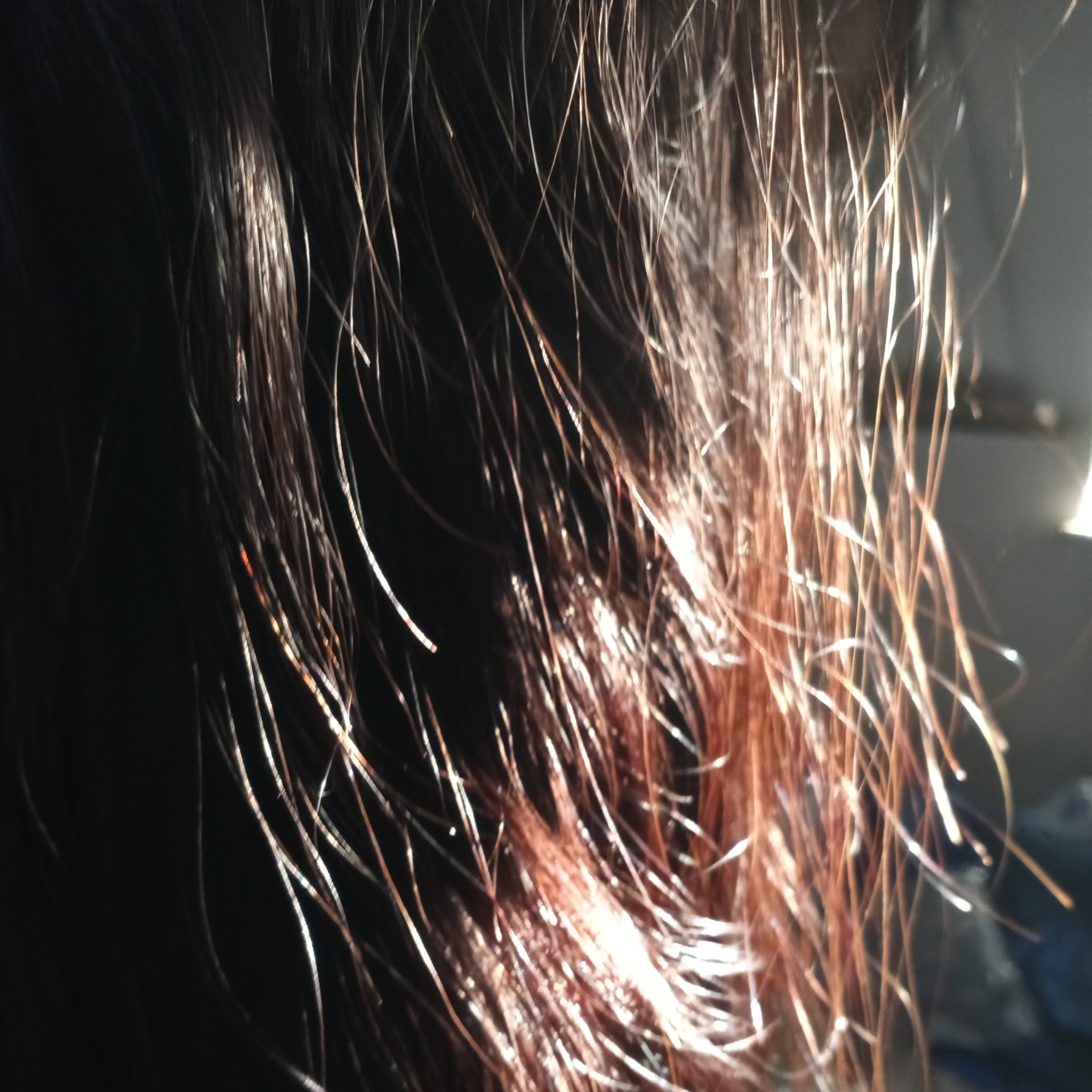 ashimary hair reviews