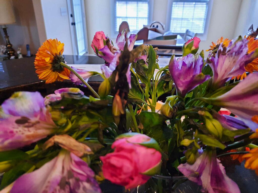 Blossom Flower Delivery Reviews 148 Reviews of Blossomflowerdelivery