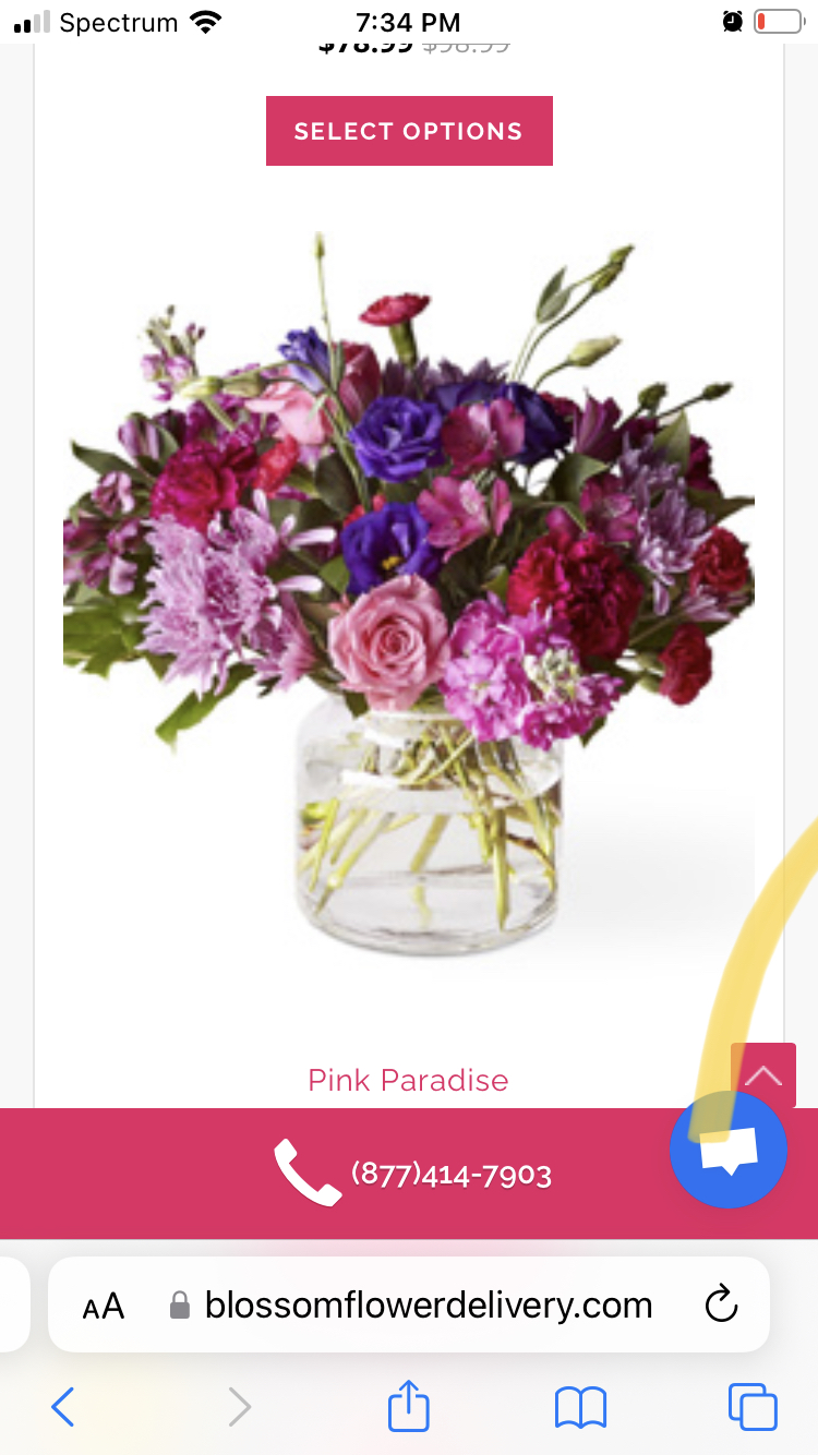 Blossom Flower Delivery Reviews 271 Reviews of Blossomflowerdelivery