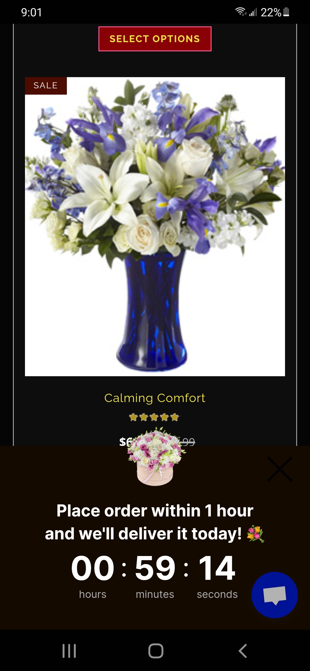 Blossom Flower Delivery Reviews 467 Reviews of Blossomflowerdelivery