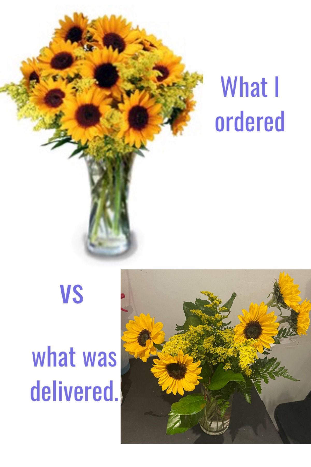 Blossom Flower Delivery Reviews 724 Reviews of Blossomflowerdelivery