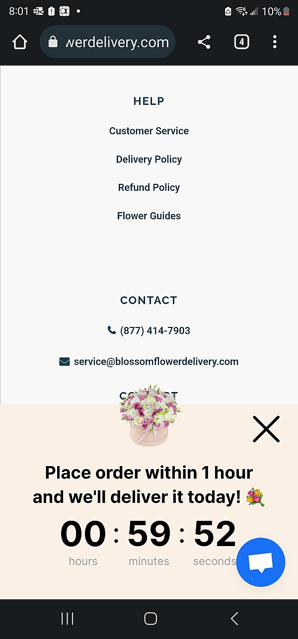 Blossom Flower Delivery Reviews 604 Reviews of Blossomflowerdelivery