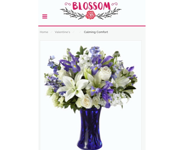 Blossom Flower Delivery Reviews 627 Reviews of Blossomflowerdelivery