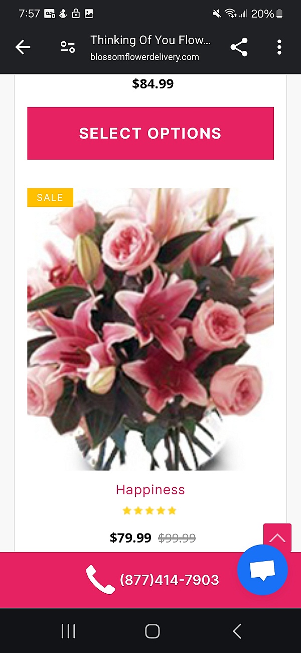 Blossom Flower Delivery Reviews 875 Reviews of Blossomflowerdelivery