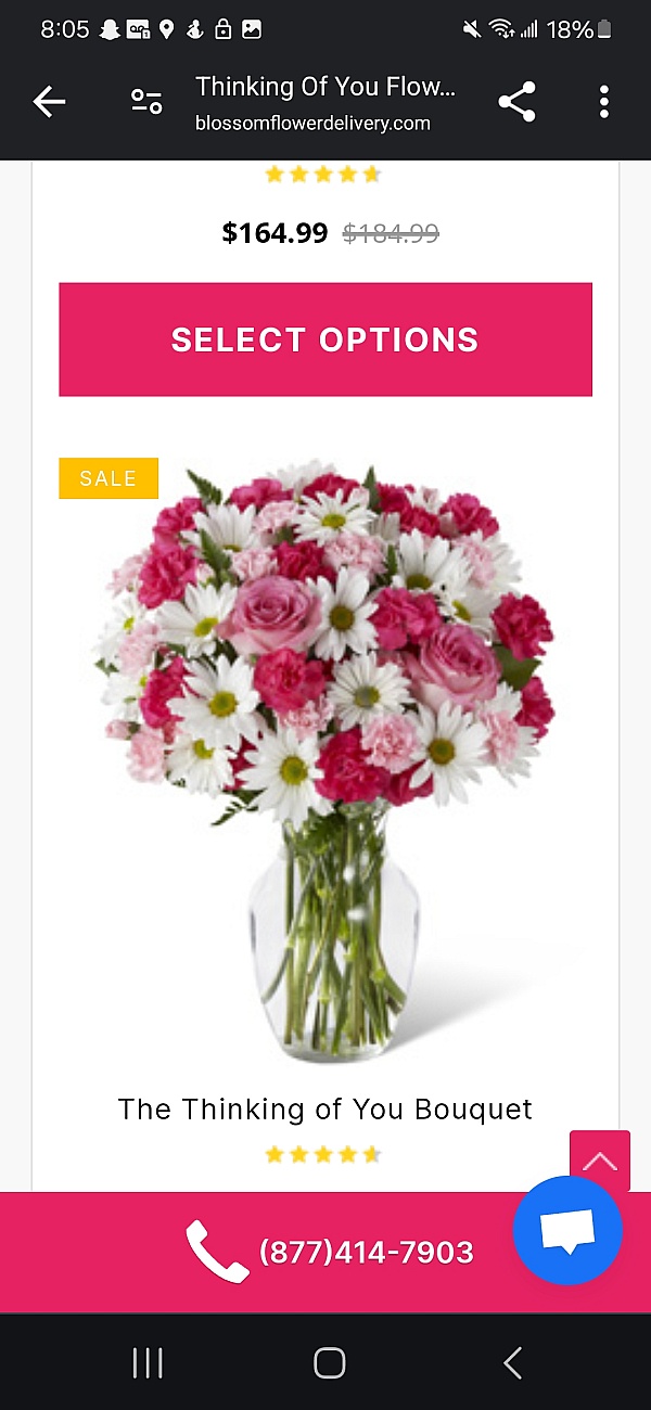 Blossom Flower Delivery Reviews 878 Reviews of Blossomflowerdelivery