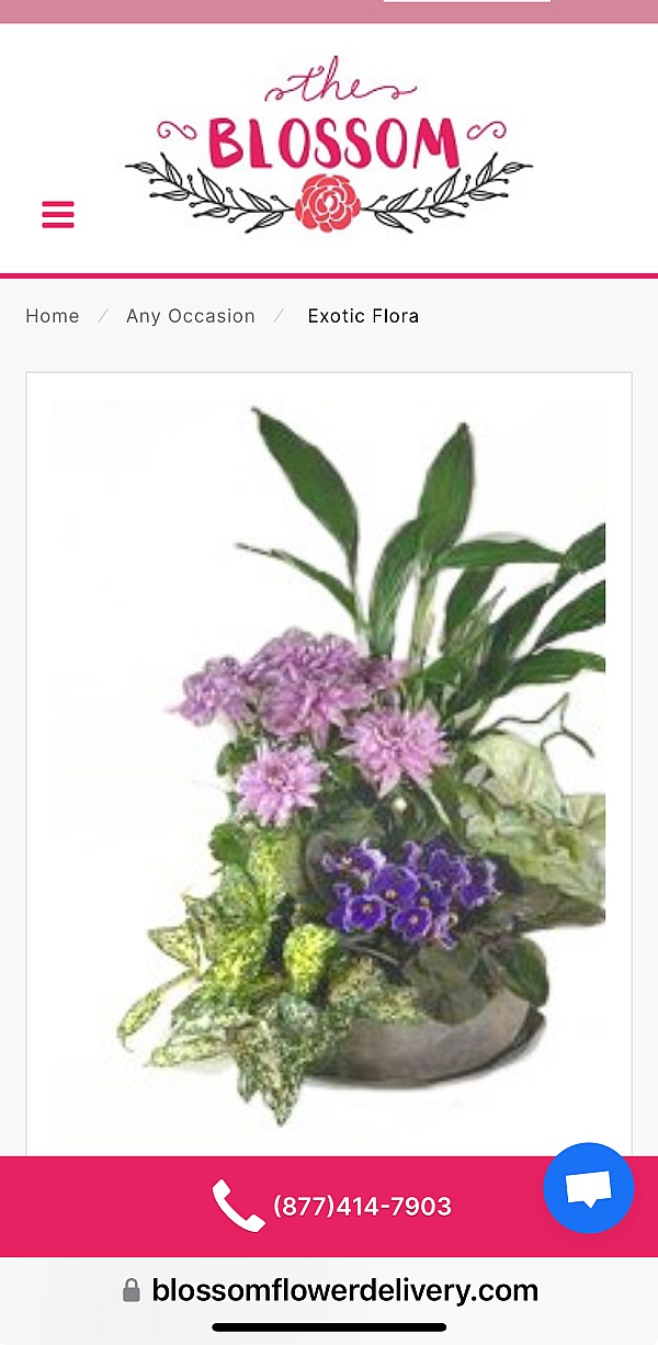 Blossom Flower Delivery Reviews 895 Reviews of Blossomflowerdelivery